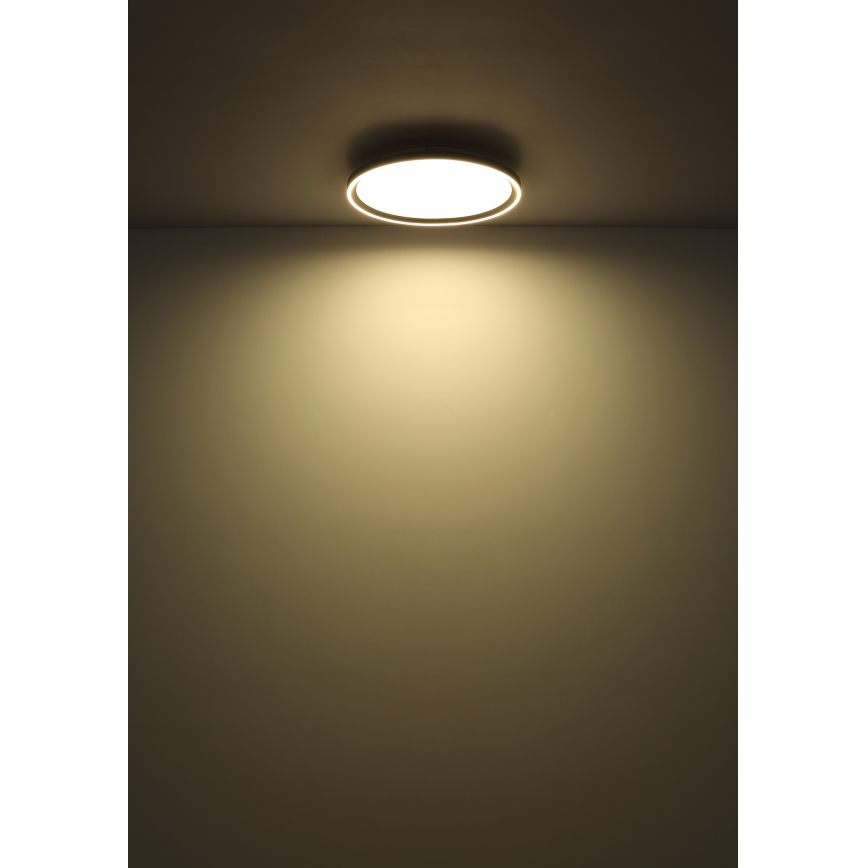 Globo - LED Dimmable ceiling light LED/48W/230V d. 50 cm 2700-6000K + remote control