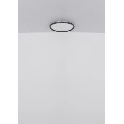 Globo - LED Dimmable ceiling light LED/48W/230V d. 50 cm 2700-6000K + remote control