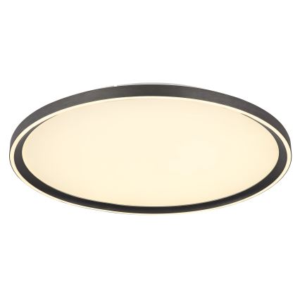 Globo - LED Dimmable ceiling light LED/48W/230V d. 50 cm 2700-6000K + remote control
