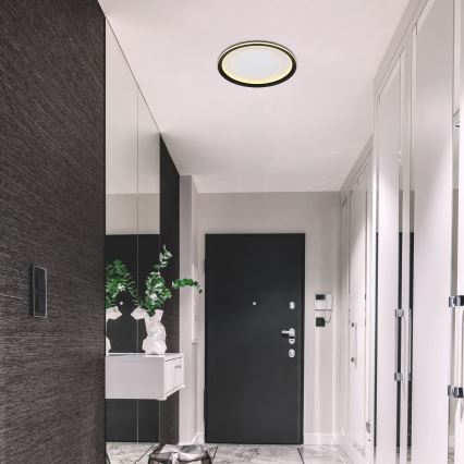 Globo - LED Dimmable ceiling light LED/24W/230V 2700-6000K + remote control