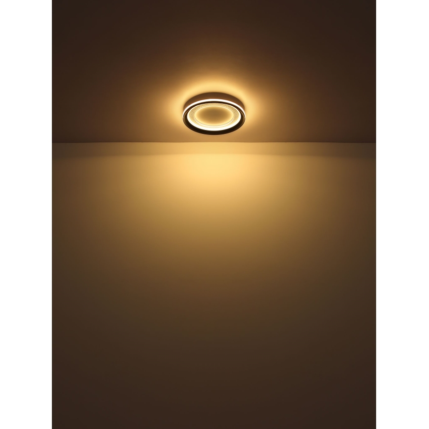 Globo - LED Dimmable ceiling light LED/24W/230V 2700-6000K + remote control