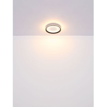 Globo - LED Dimmable ceiling light LED/24W/230V 2700-6000K + remote control