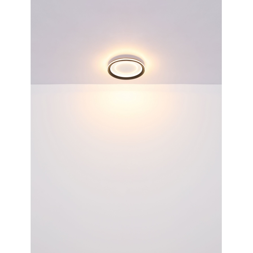 Globo - LED Dimmable ceiling light LED/24W/230V 2700-6000K + remote control