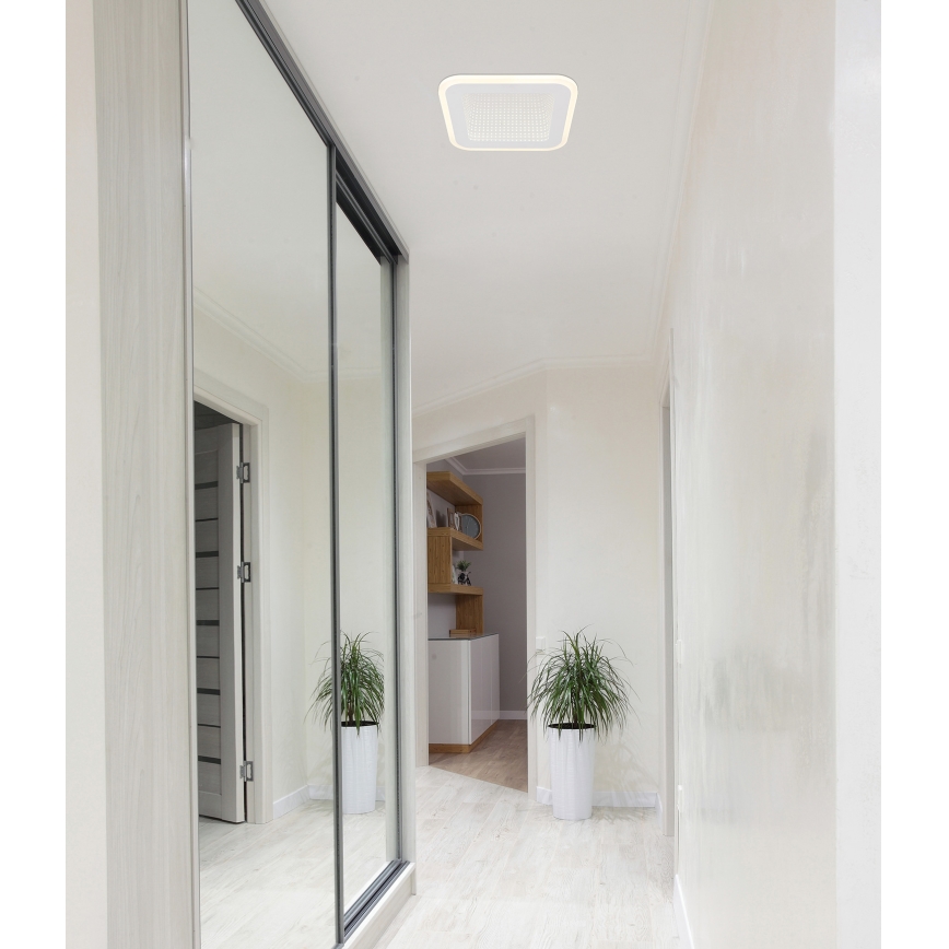 Globo - LED Ceiling light LED/12W/230V 4000K