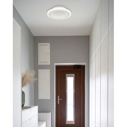 Globo - LED Ceiling light LED/12W/230V 4000K