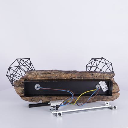 Globo - Spotlight 2xE27/60W/230V