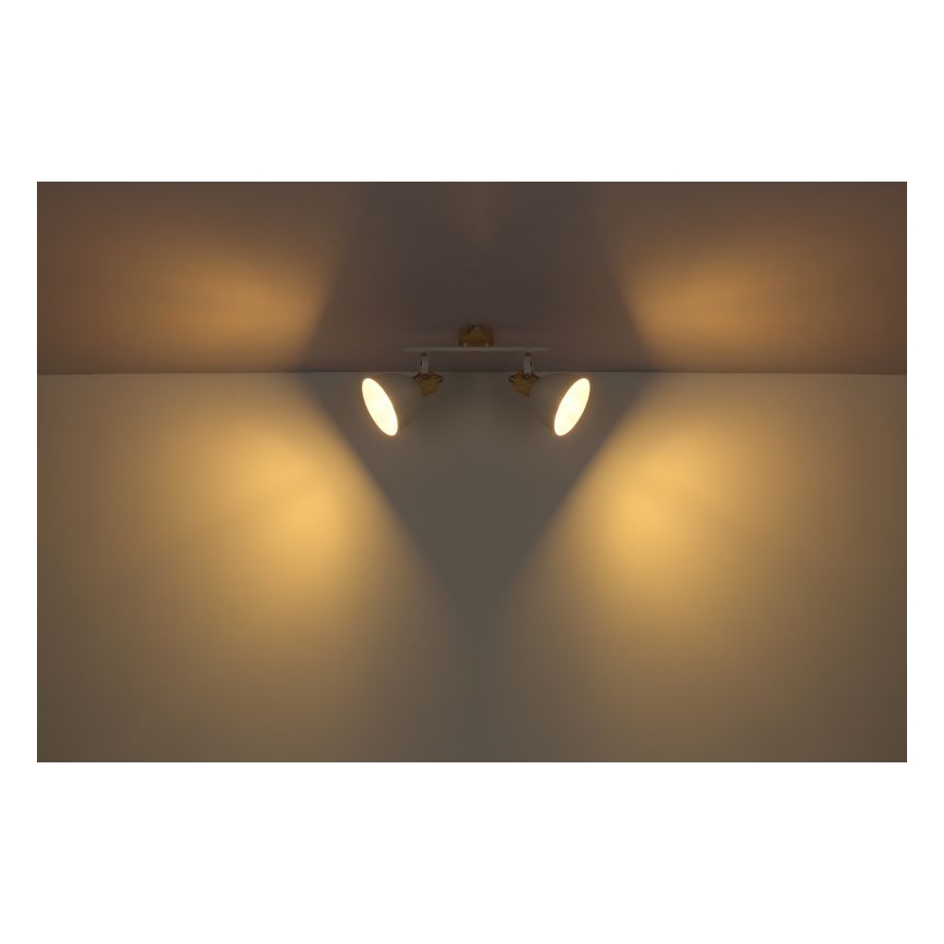 Globo - Spotlight 2xE27/40W/230V