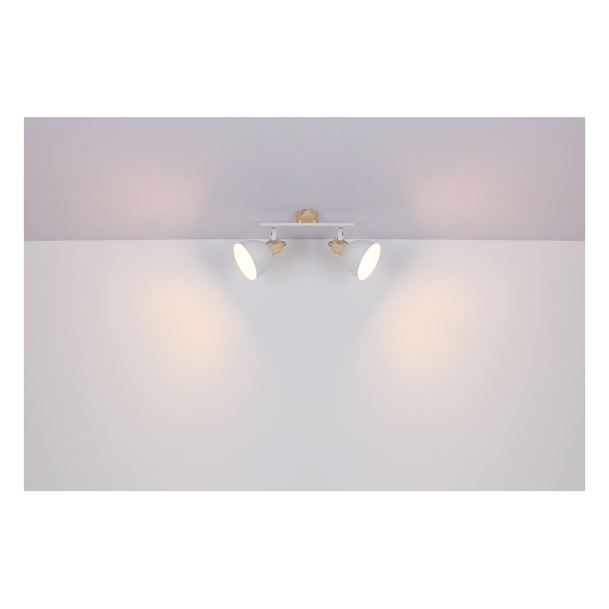 Globo - Spotlight 2xE27/40W/230V