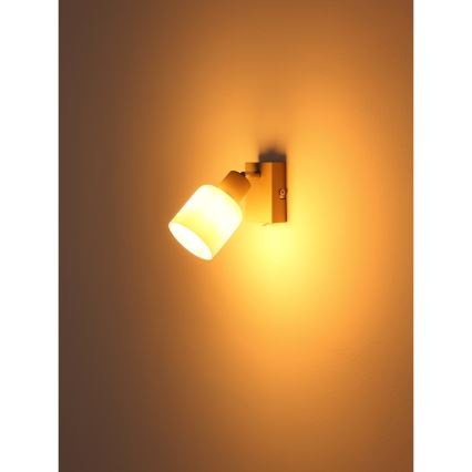 Globo - Wall-mounted spotlight 1x E14/25W/230V