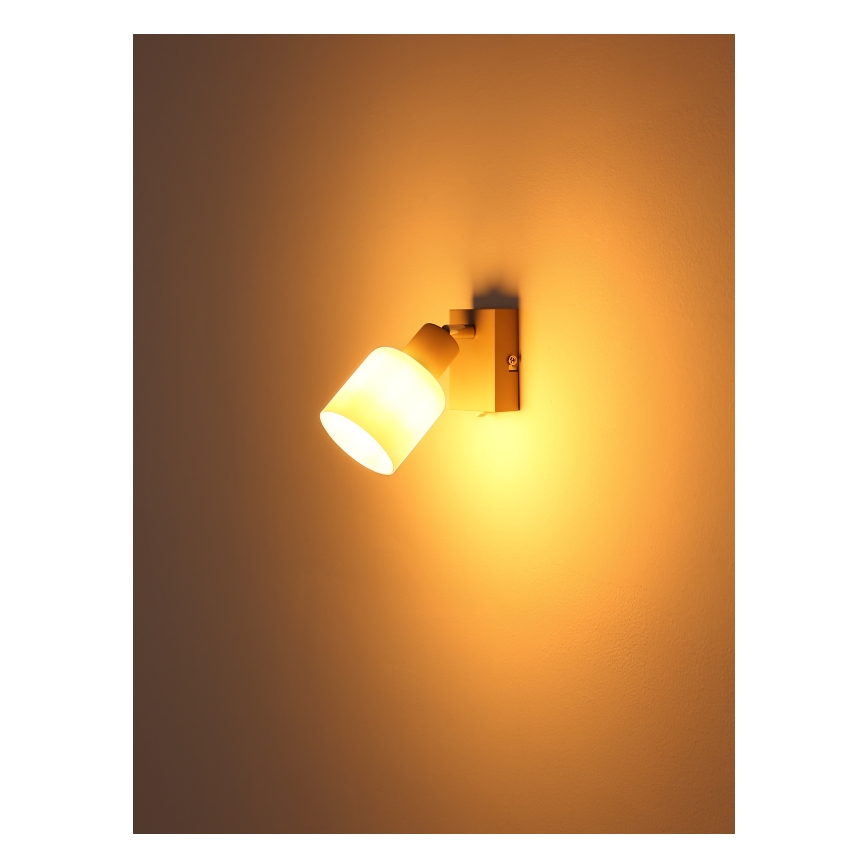 Globo - Wall-mounted spotlight 1x E14/25W/230V