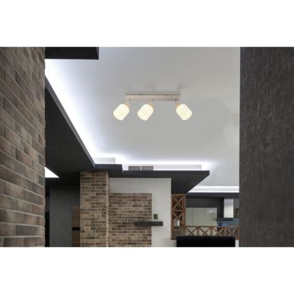 Globo - 3-Light Spotlight, 3x E14, 25W, 230V