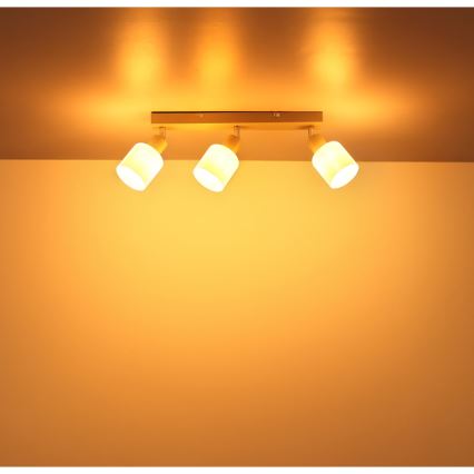 Globo - 3-Light Spotlight, 3x E14, 25W, 230V