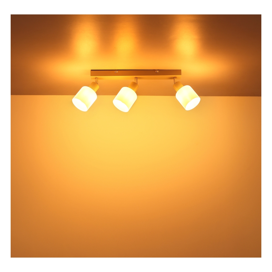 Globo - 3-Light Spotlight, 3x E14, 25W, 230V