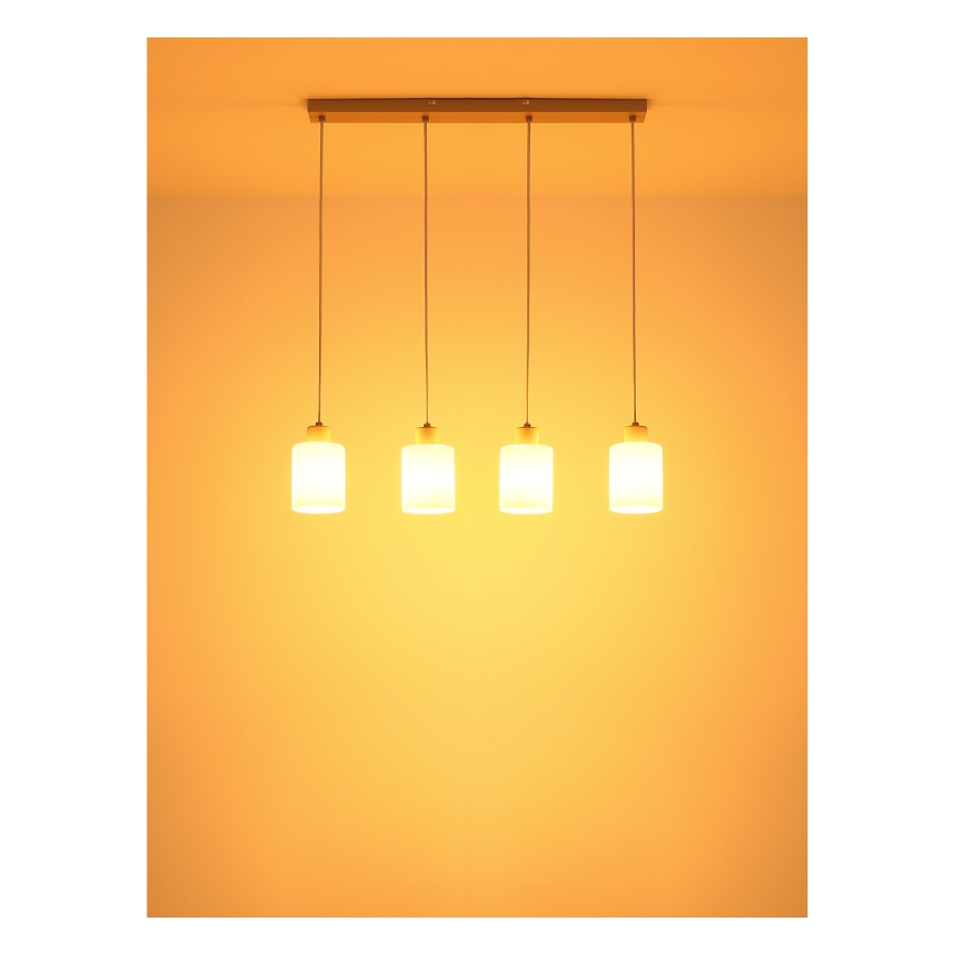 Globo - Cable-suspended pendant 4xE27/40W/230V