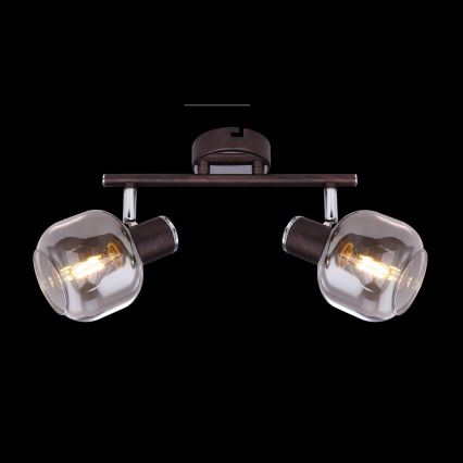 Globo 54303-2 - Spotlight PALLO 2xE14/40W/230V
