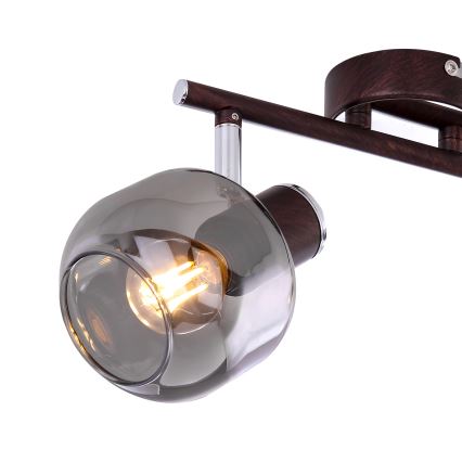Globo 54303-2 - Spotlight PALLO 2xE14/40W/230V