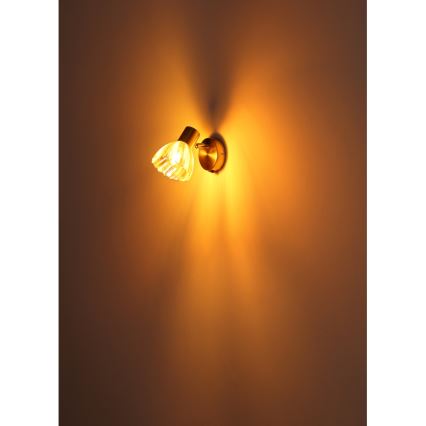 Globo - Wall spotlight 1xE14/40W/230V gold