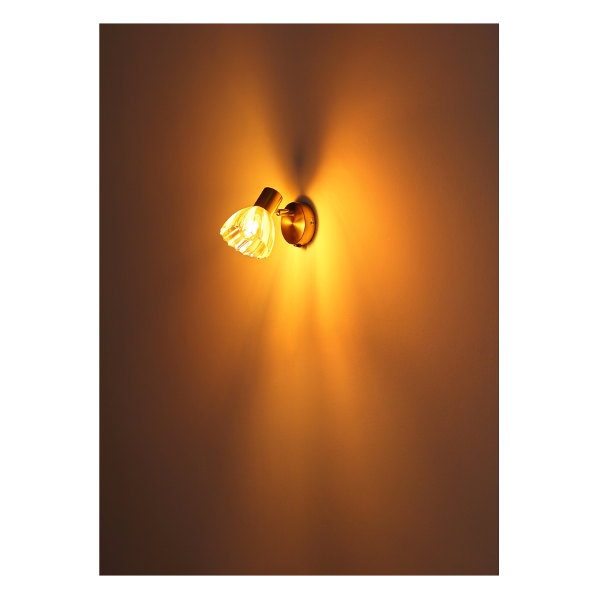 Globo - Wall spotlight 1xE14/40W/230V gold