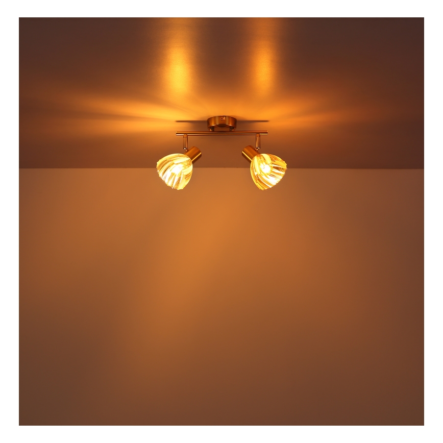 Globo - Spotlight 2xE14/40W/230V gold