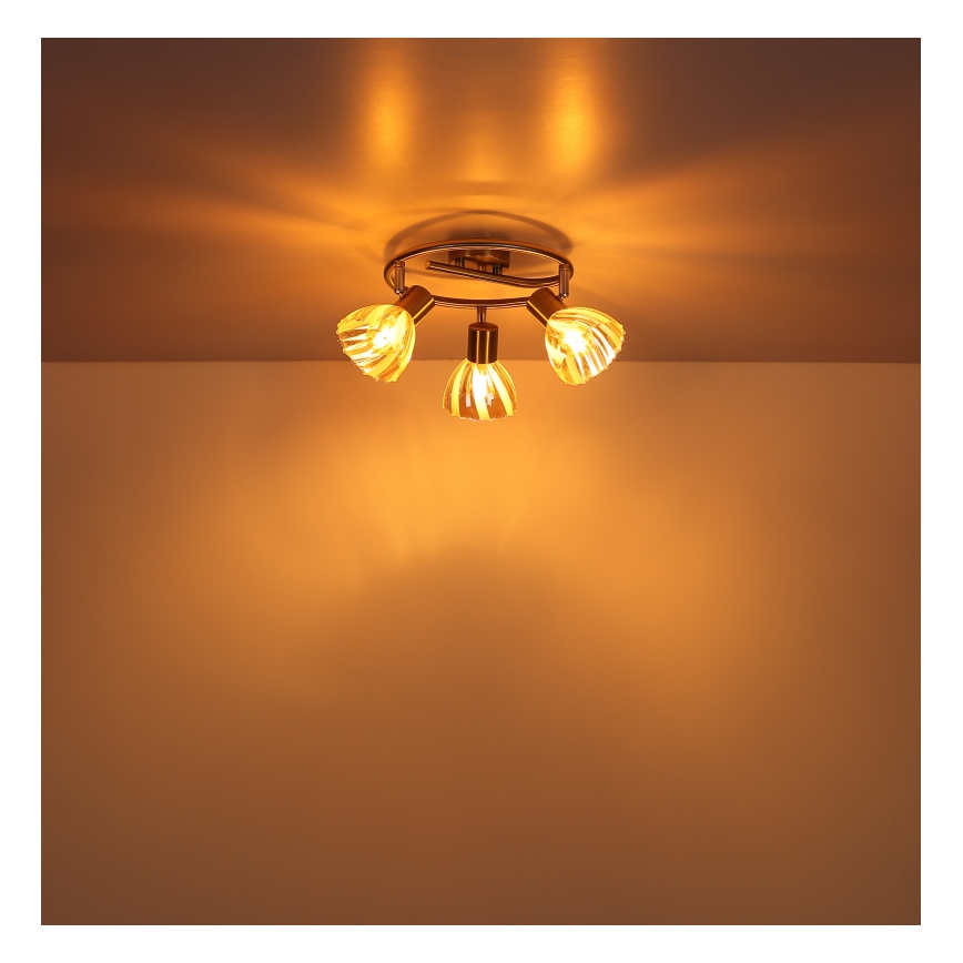 Globo - Spotlight 3xE14/40W/230V gold