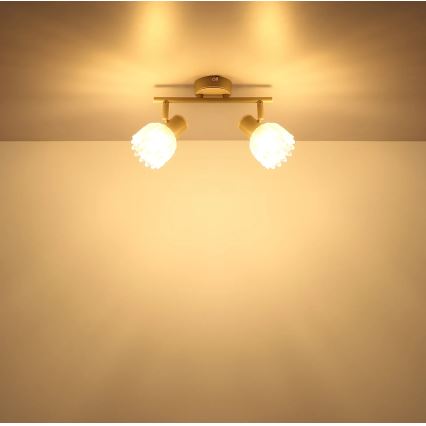 Globo - Spotlight 2xE14/40W/230V