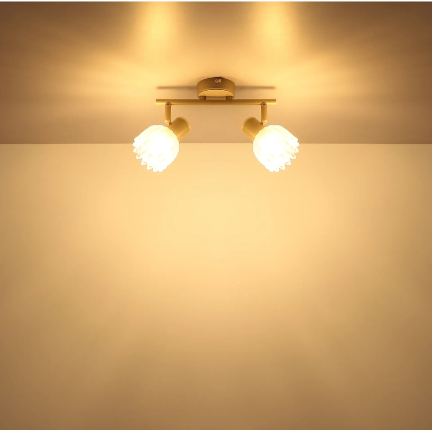 Globo - Spotlight 2xE14/40W/230V