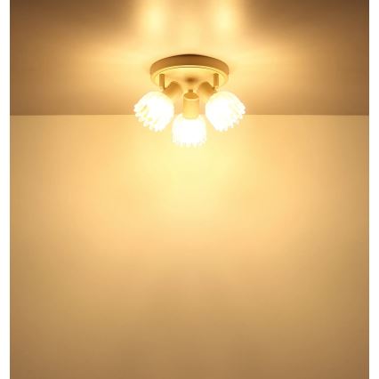 Globo - 3-Light Spotlight 3xE14/40W/230V