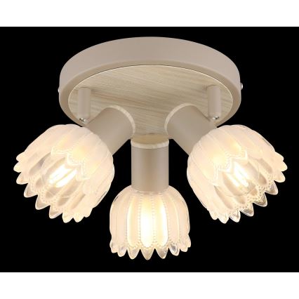 Globo - 3-Light Spotlight 3xE14/40W/230V