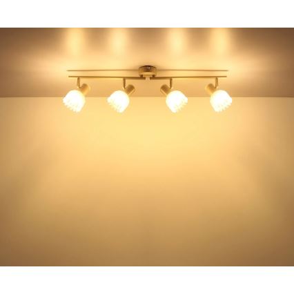 Globo - 4-Light Spotlight, E14, 40W, 230V