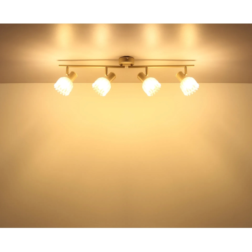 Globo - 4-Light Spotlight, E14, 40W, 230V