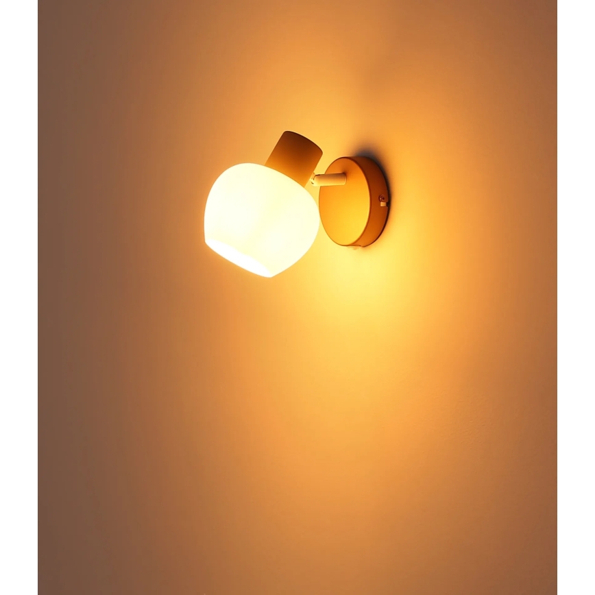 Globo - Wall-mounted spotlight 1xE27/40W/230V