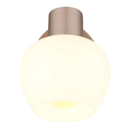 Globo - Wall-mounted spotlight 1xE27/40W/230V