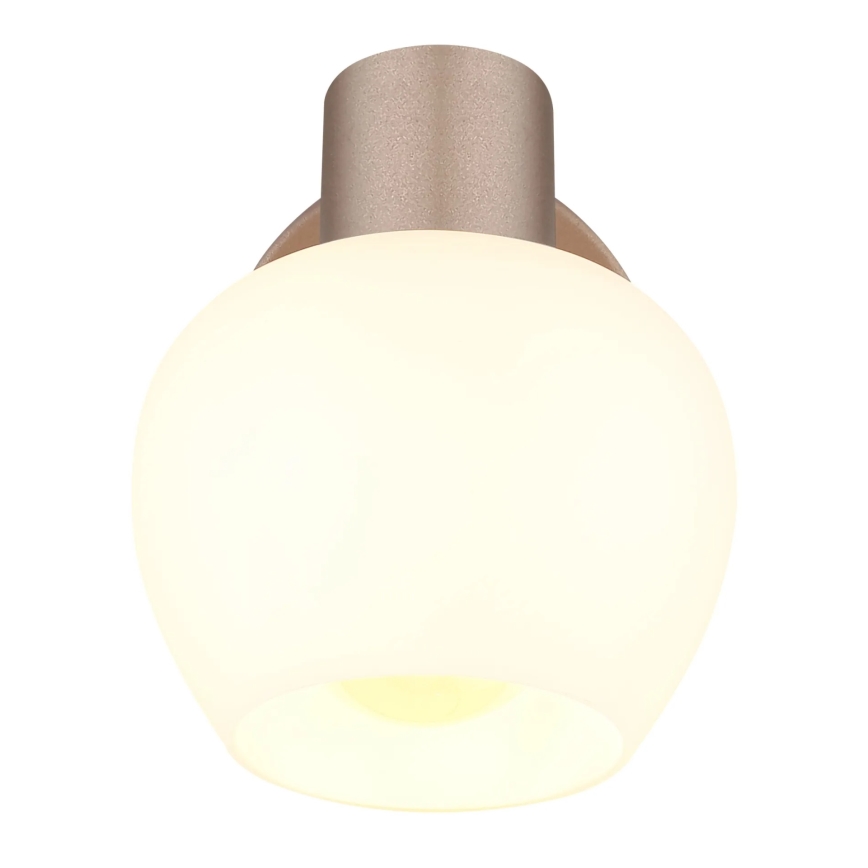 Globo - Wall-mounted spotlight 1xE27/40W/230V