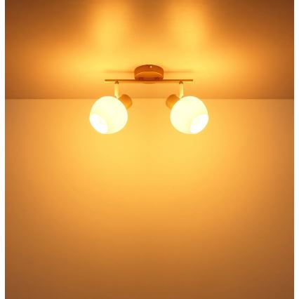 Globo - 2-Light Spotlight 2xE27/40W/230V