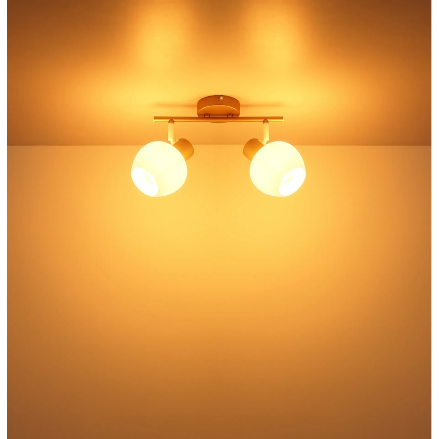 Globo - 2-Light Spotlight 2xE27/40W/230V
