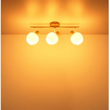 Globo - 3-Light Spotlight 3xE27/40W/230V