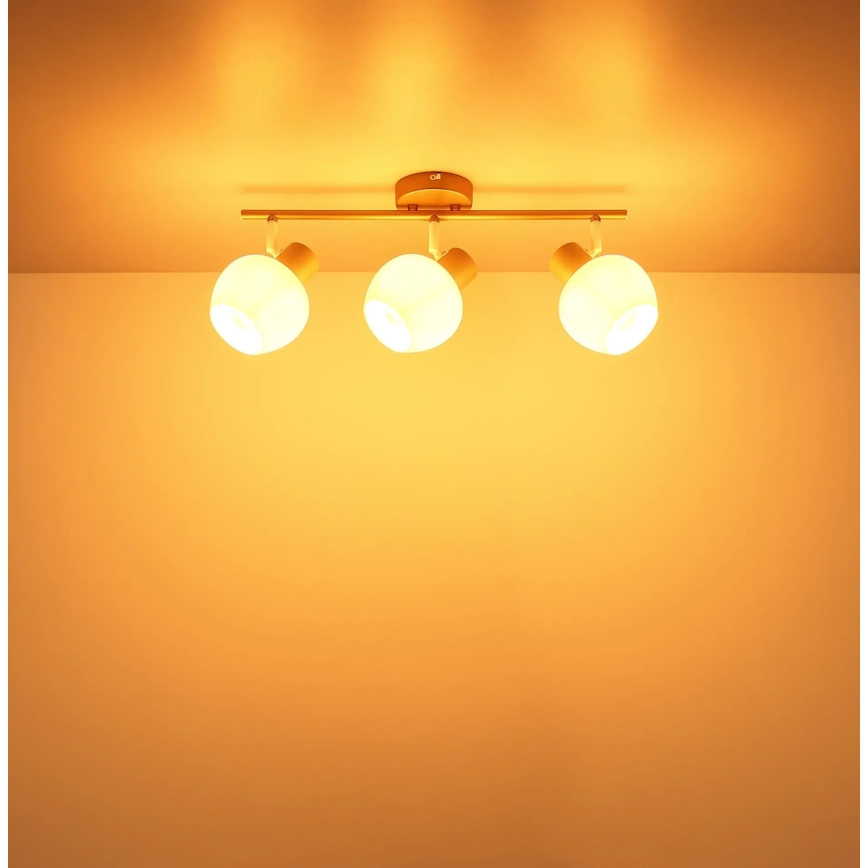 Globo - 3-Light Spotlight 3xE27/40W/230V