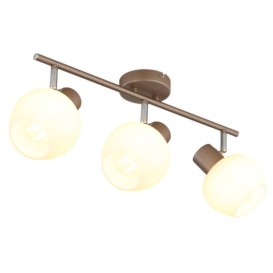 Globo - 3-Light Spotlight 3xE27/40W/230V