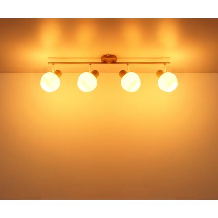 Globo - 4-Light Spotlight 4xE27/40W/230V