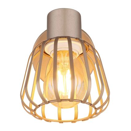 Globo - Wall-mounted spotlight 1xE27/40W/230V
