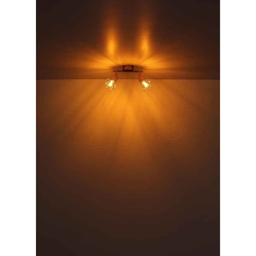Globo - Spotlight 2xE14/40W/230V gold