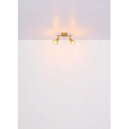 Globo - Spotlight 2xE14/40W/230V gold