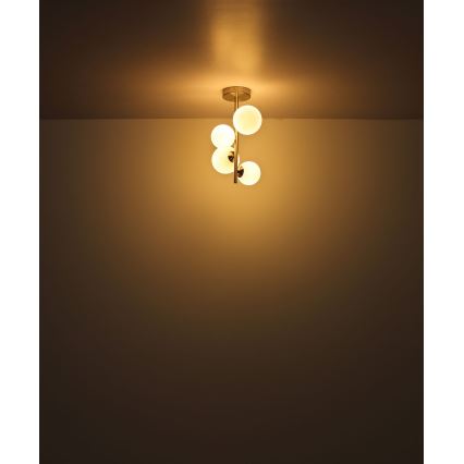 Globo - LED Chandelier on a pole 4xG9/3W/230V matte chrome