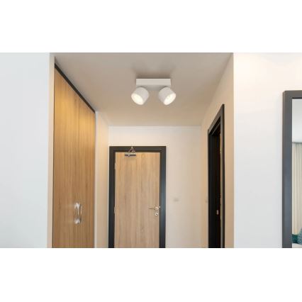 Globo - LED Spotlight 2xLED/6W/230V