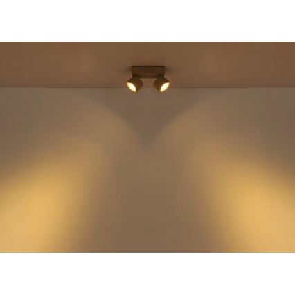 Globo - LED Spotlight 2xLED/6W/230V
