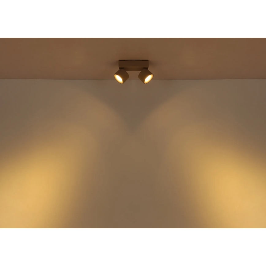 Globo - LED Spotlight 2xLED/6W/230V