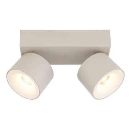 Globo - LED Spotlight 2xLED/6W/230V