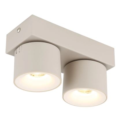 Globo - LED Spotlight 2xLED/6W/230V