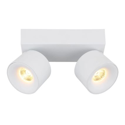 Globo - LED Spotlight 2xLED/6W/230V white