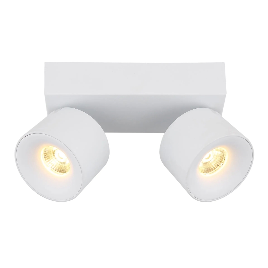 Globo - LED Spotlight 2xLED/6W/230V white